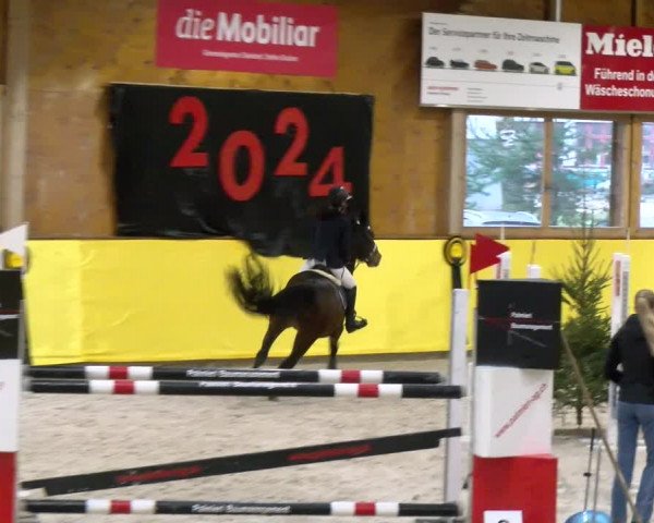 Reitturnier Dielsdorf 2024