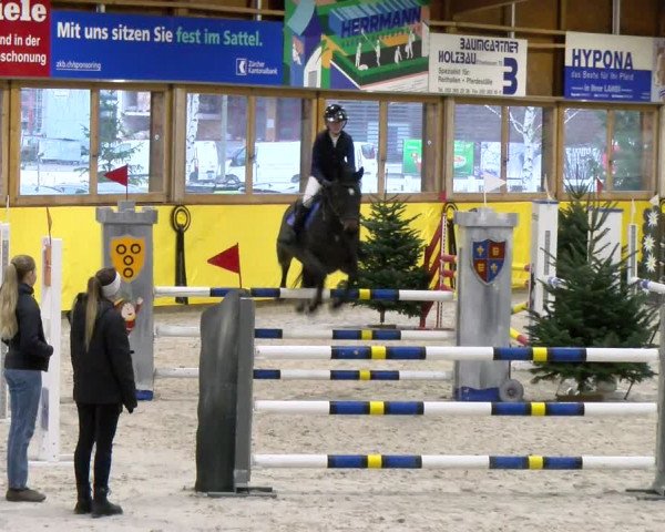 Reitturnier Dielsdorf 2024