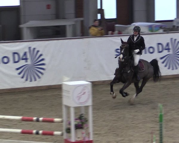 Reitturnier Prussendorf 2024