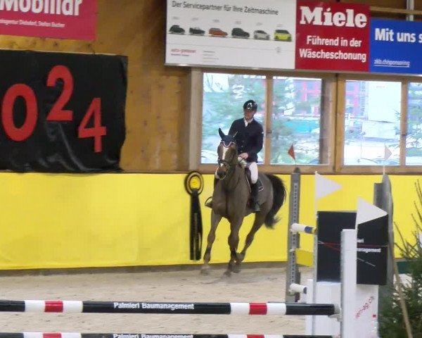Reitturnier Dielsdorf 2024