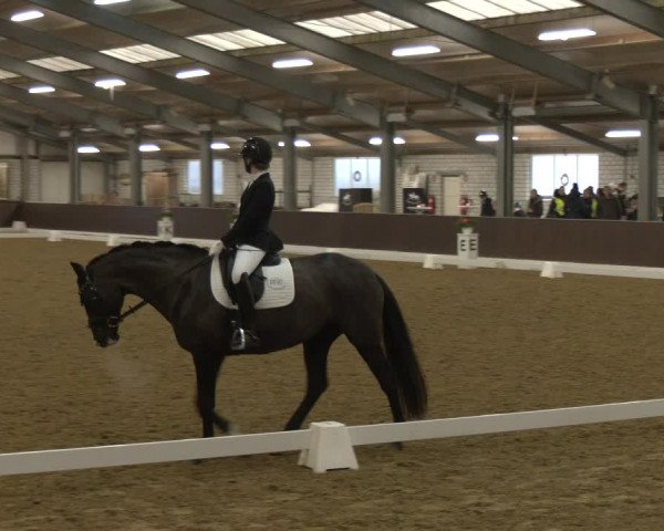 Reitturnier Bottrop-Kirchhellen 2024