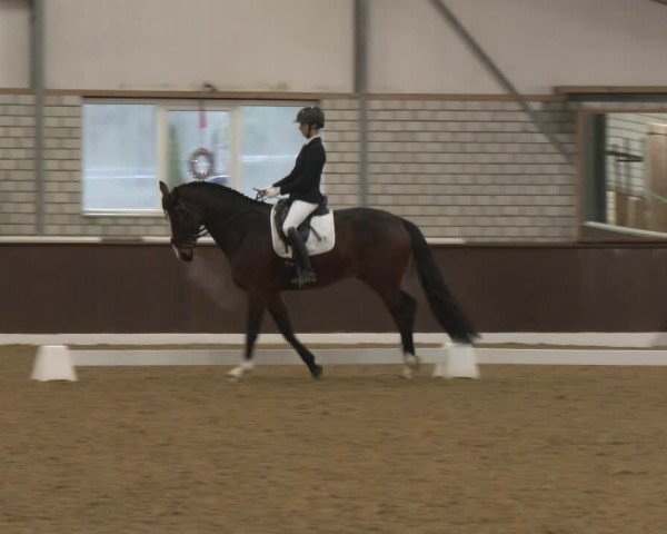 Reitturnier Bottrop-Kirchhellen 2024