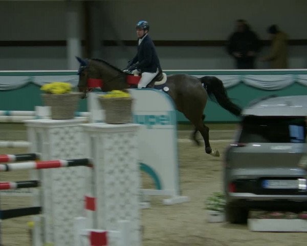 Reitturnier Gahlen 2024