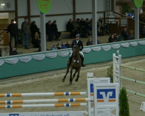 Reitturnier Gahlen 2024