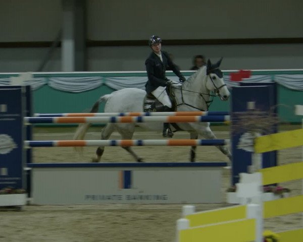 Reitturnier Gahlen 2024