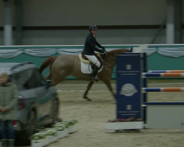 Reitturnier Gahlen 2024