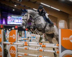 jumper Ida-Li (Holsteiner, 2016, from Constanzehof's Barcley)