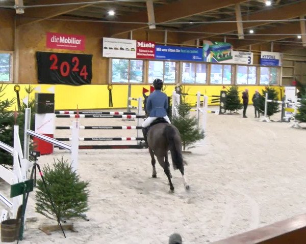 Reitturnier Dielsdorf 2024