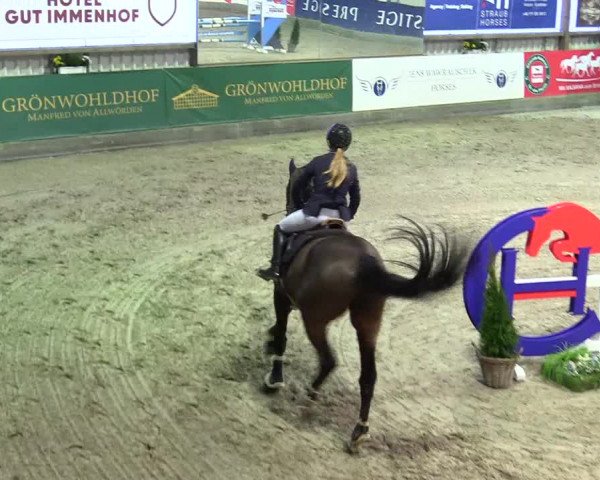 4. Nordic Jumping event Negernbötel 2024