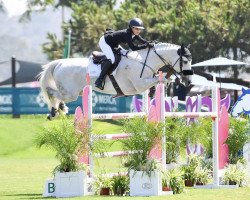 jumper Giggs (KWPN (Royal Dutch Sporthorse), 2011, from Wizzerd WV)