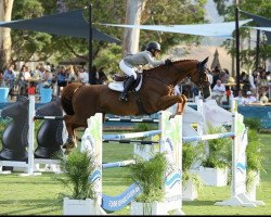 jumper SRS Complete (Irish Sport Horse, 2007)