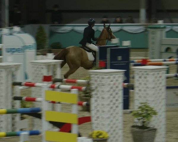 Reitturnier Gahlen 2024