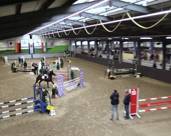 23. Legdener Ponymeeting 2021