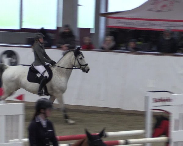 Reitturnier Prussendorf 2024