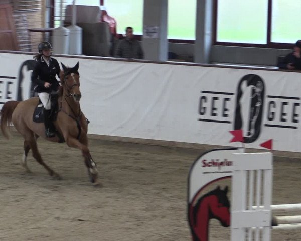 Reitturnier Prussendorf 2024