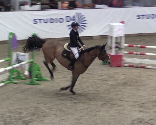Reitturnier Prussendorf 2024