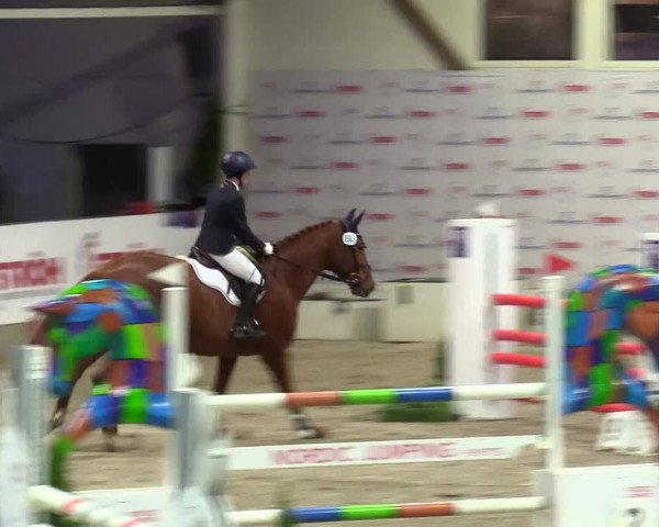 4. Nordic Jumping event Negernbötel 2024