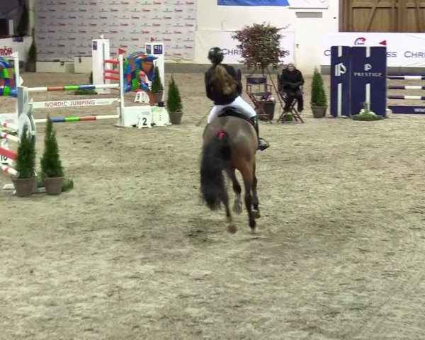 4. Nordic Jumping event Negernbötel 2024