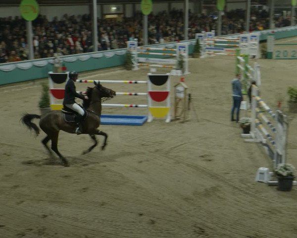 Reitturnier Gahlen 2024