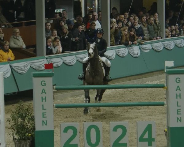 Reitturnier Gahlen 2024