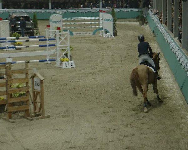 Reitturnier Gahlen 2024