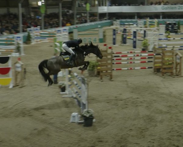 Reitturnier Gahlen 2024
