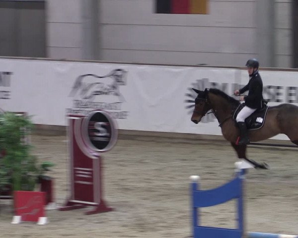 Reitturnier Prussendorf 2024