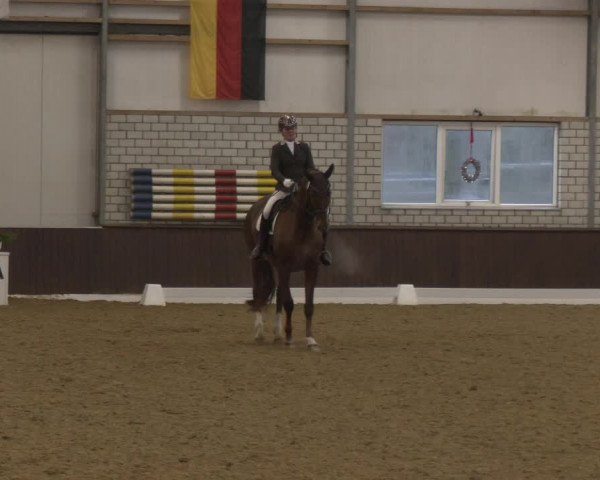 Reitturnier Bottrop-Kirchhellen 2024