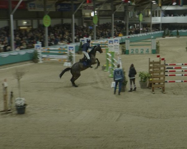 Reitturnier Gahlen 2024