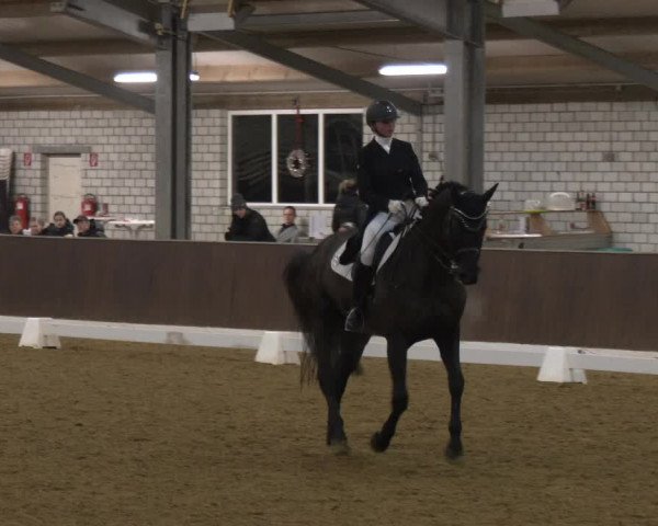 Reitturnier Bottrop-Kirchhellen 2024