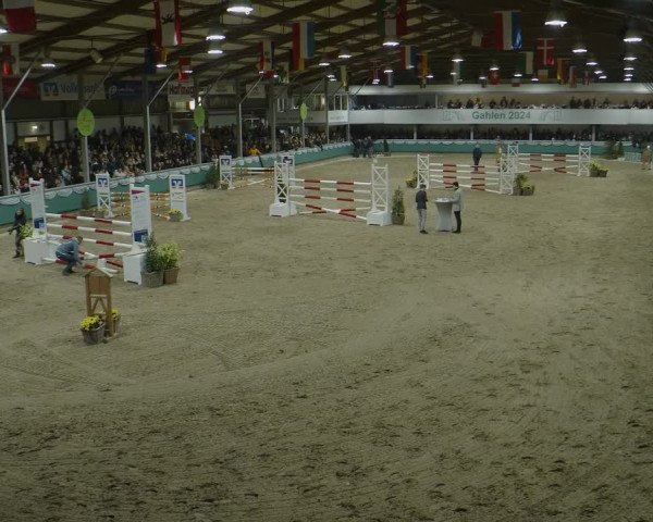 Reitturnier Gahlen 2024
