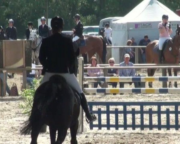 Dorsten 2011