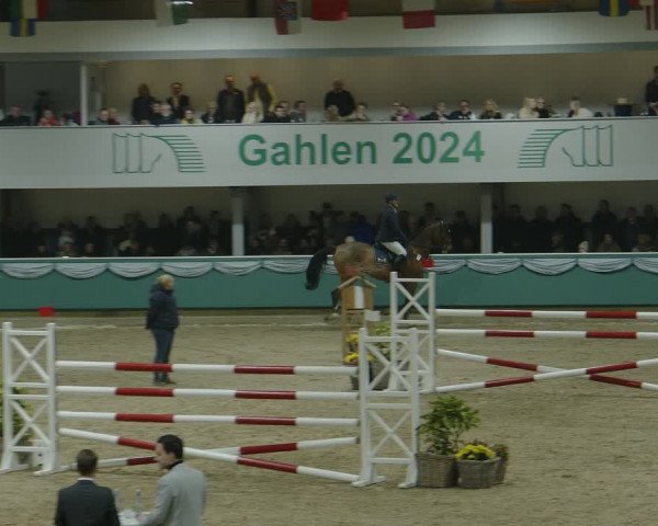 Reitturnier Gahlen 2024