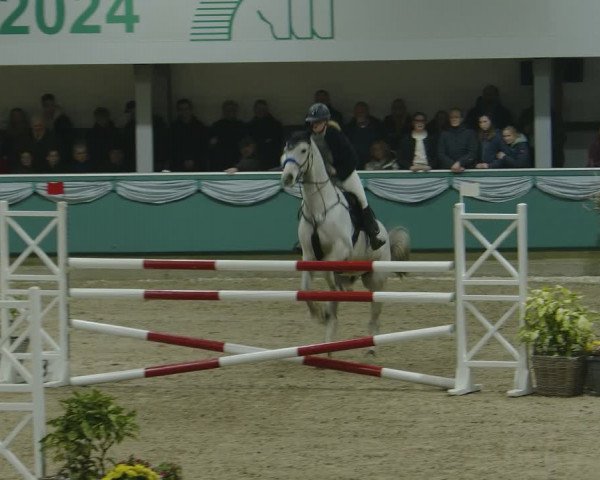 Reitturnier Gahlen 2024