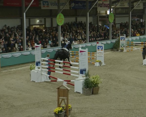 Reitturnier Gahlen 2024