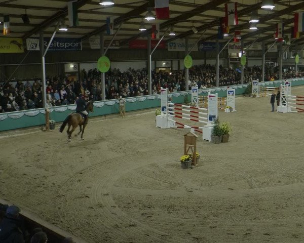 Reitturnier Gahlen 2024