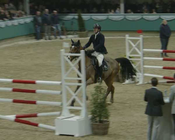 Reitturnier Gahlen 2024
