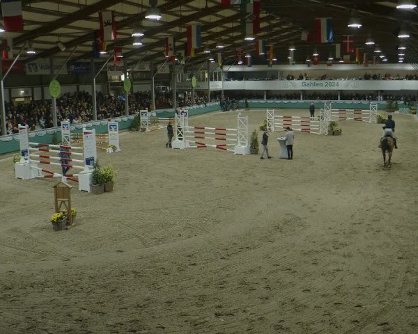 Reitturnier Gahlen 2024
