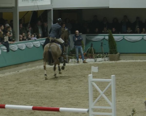 Reitturnier Gahlen 2024