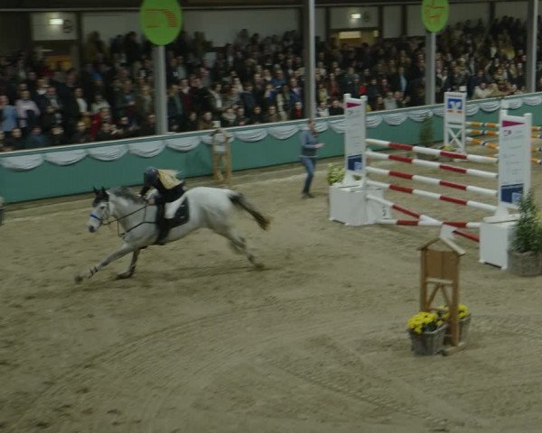 Reitturnier Gahlen 2024