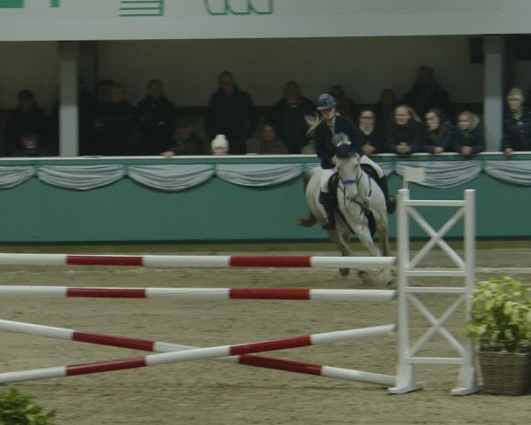 Reitturnier Gahlen 2024