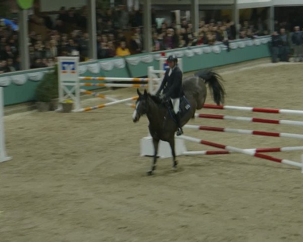Reitturnier Gahlen 2024