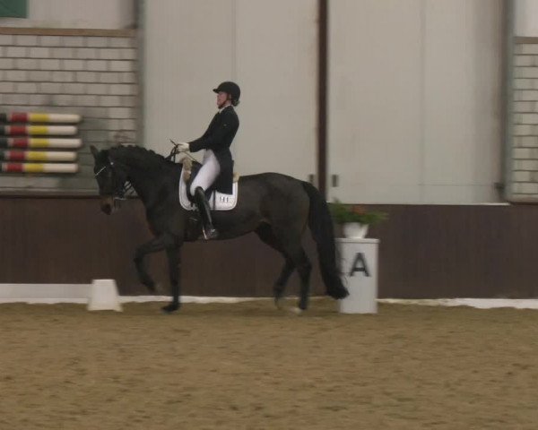 Reitturnier Bottrop-Kirchhellen 2024