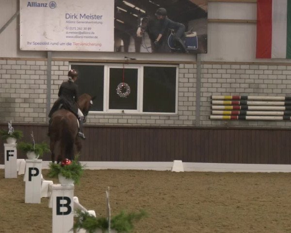 Reitturnier Bottrop-Kirchhellen 2024