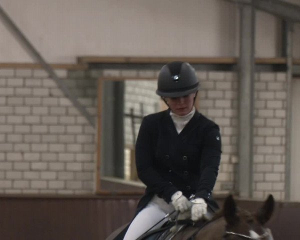 Reitturnier Bottrop-Kirchhellen 2024