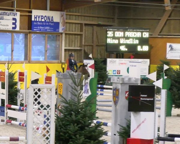 Reitturnier Dielsdorf 2024