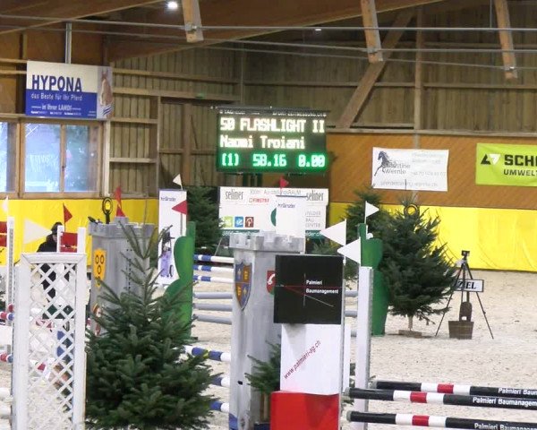 Reitturnier Dielsdorf 2024