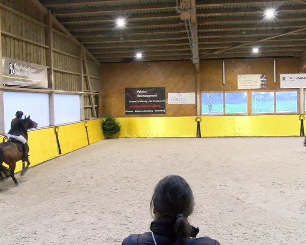 Reitturnier Dielsdorf 2024