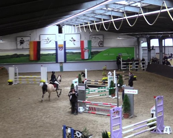 23. Legdener Ponymeeting 2021