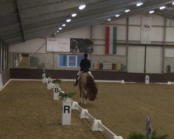 Reitturnier Bottrop-Kirchhellen 2024